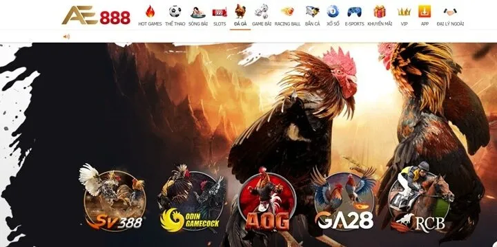 Đá gà AE888 sân chơi uy tín đã được công nhận